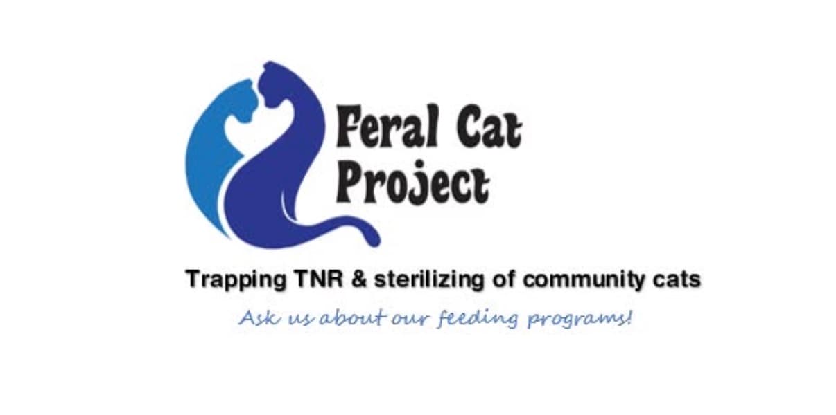 Feral cat foundation donation