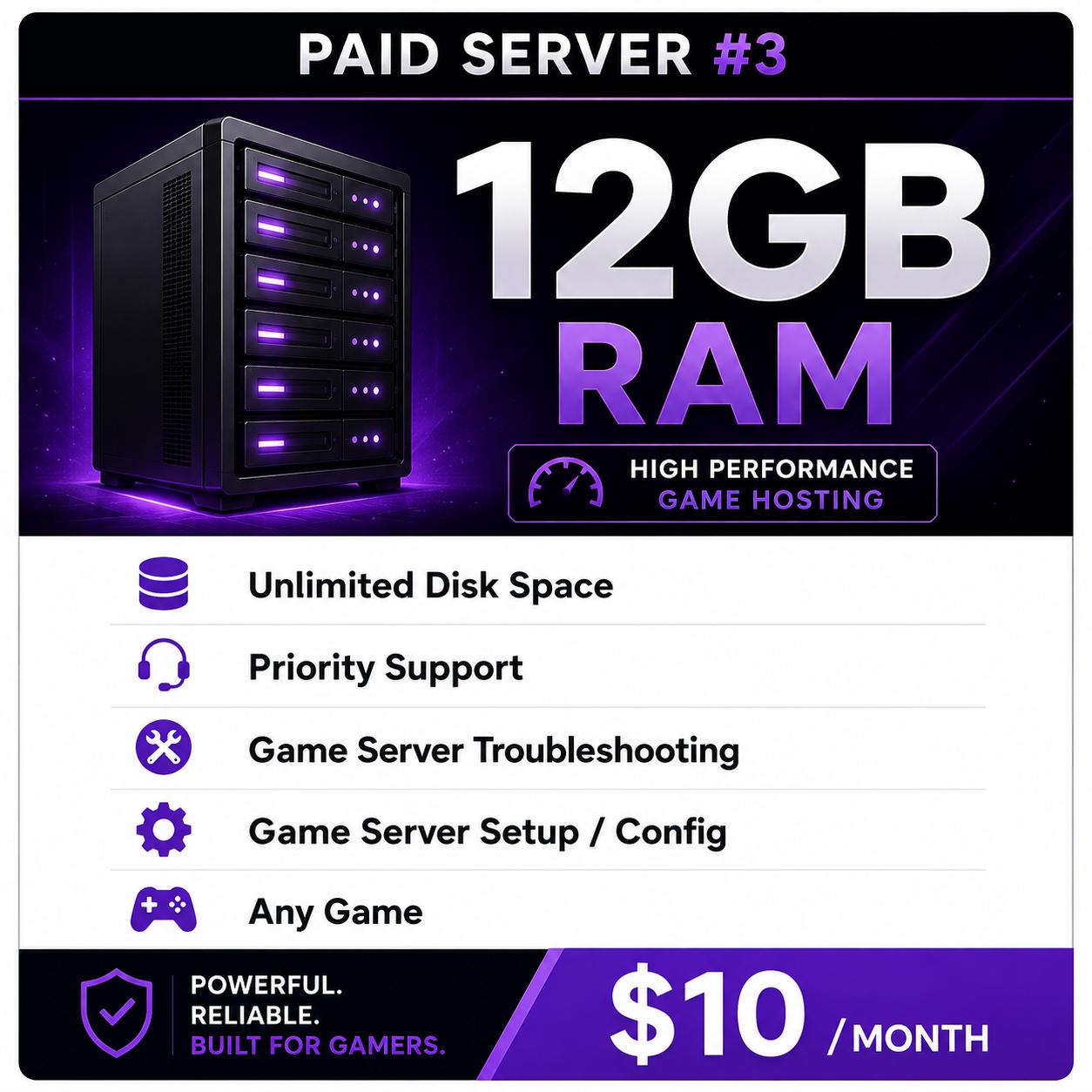 Paid Server #3 — 1