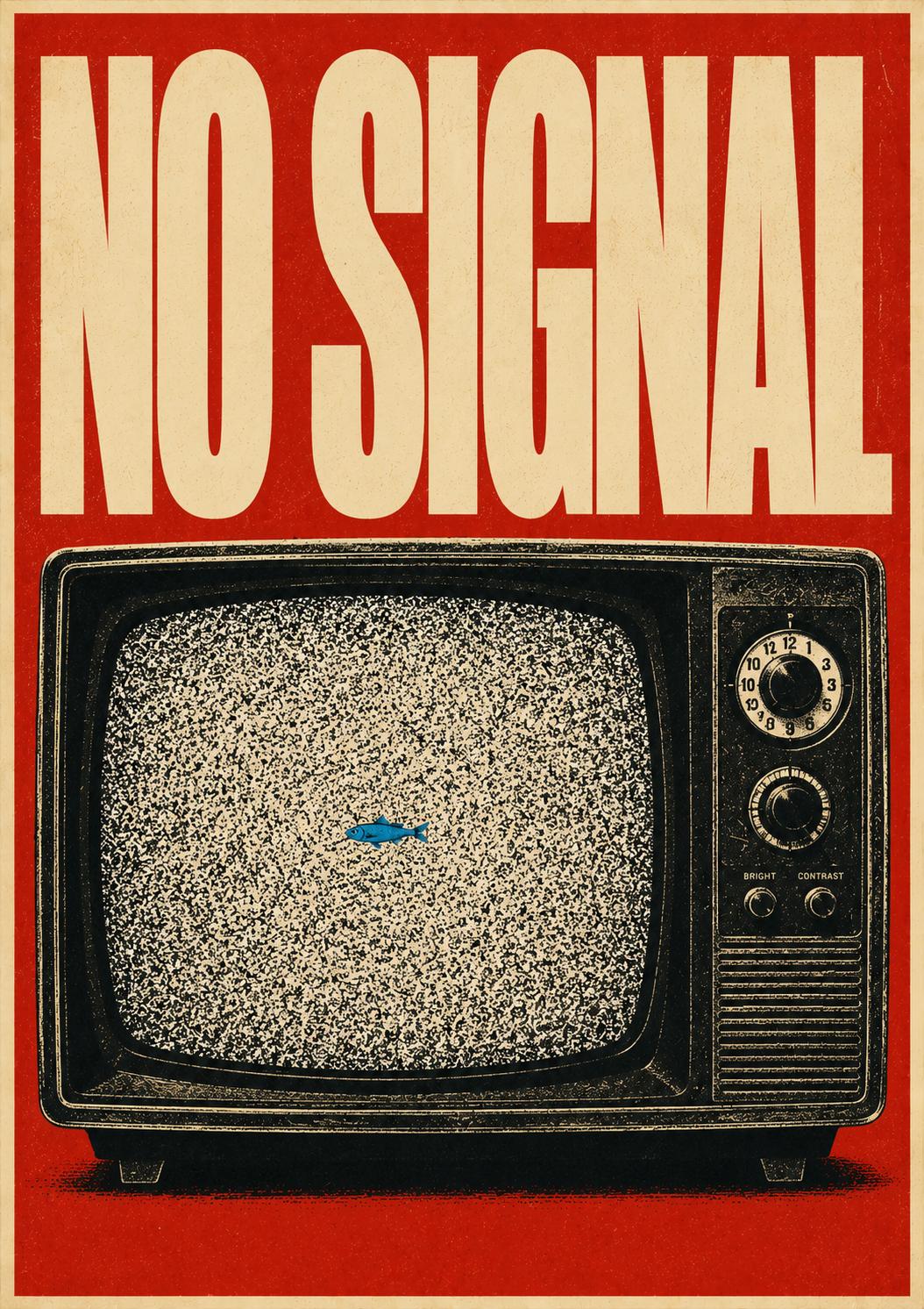 No Signal, photo 1
