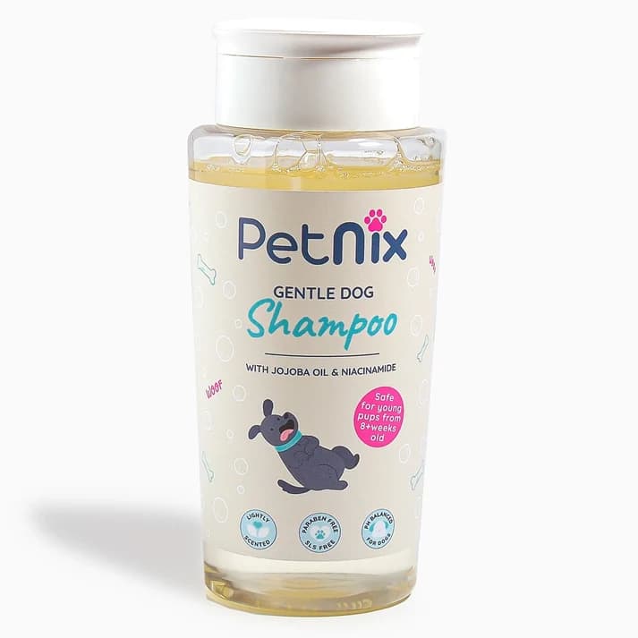 PetNix Gentle Dog Shampoo | Summer Fizz - 250ml