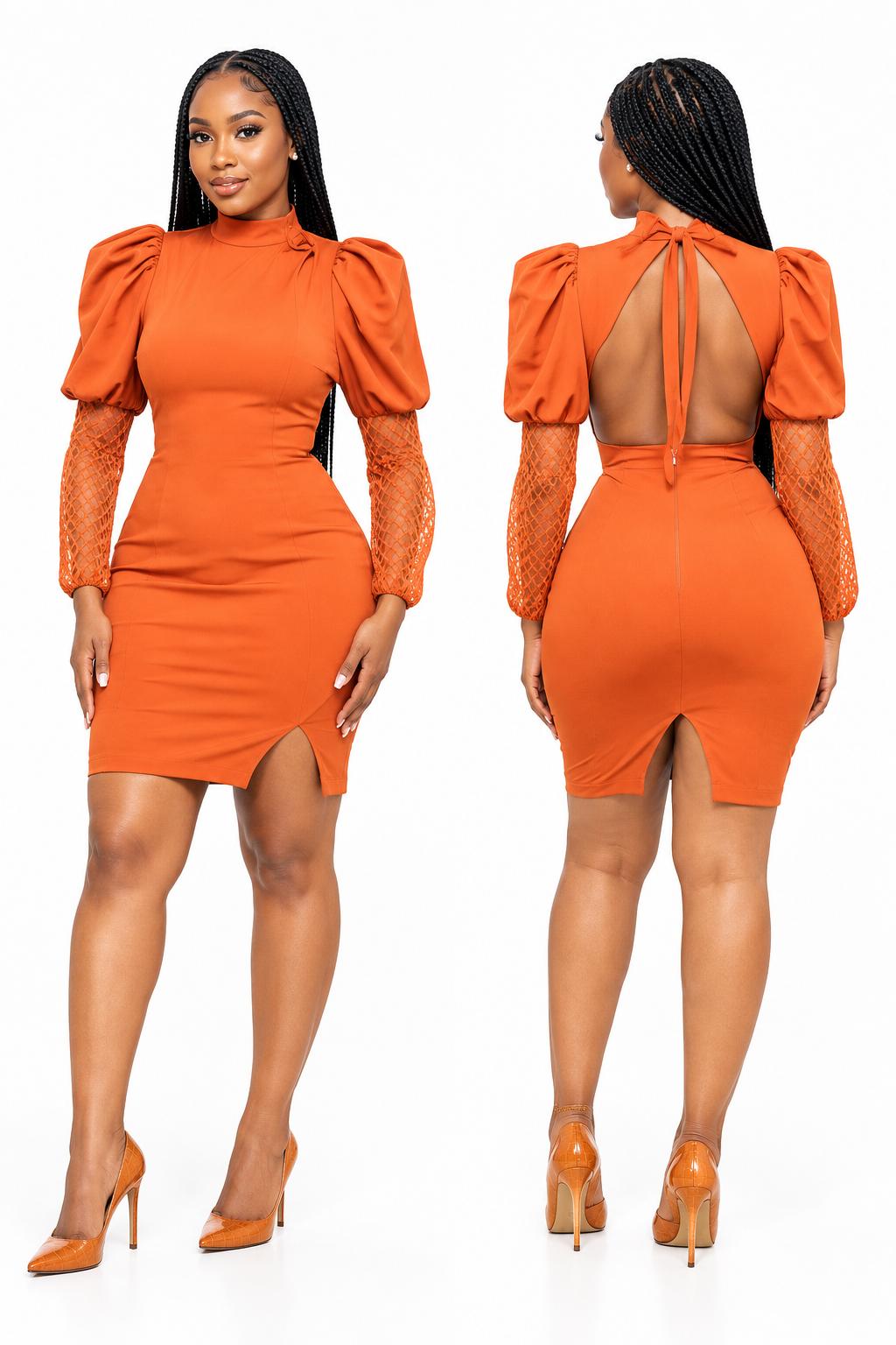 The Mesh Mini dress, photo 3