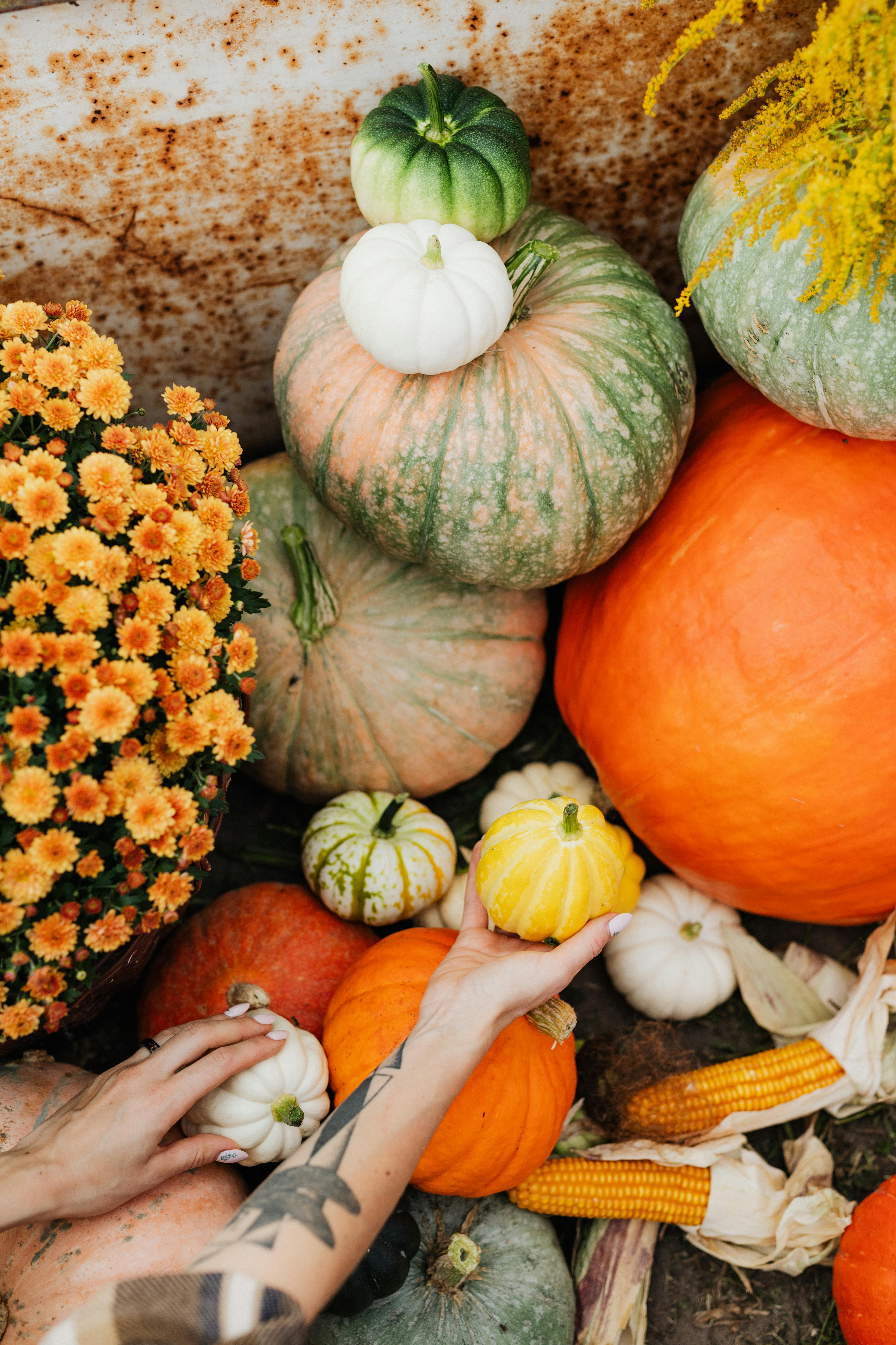 Harvest Festival - Image 2